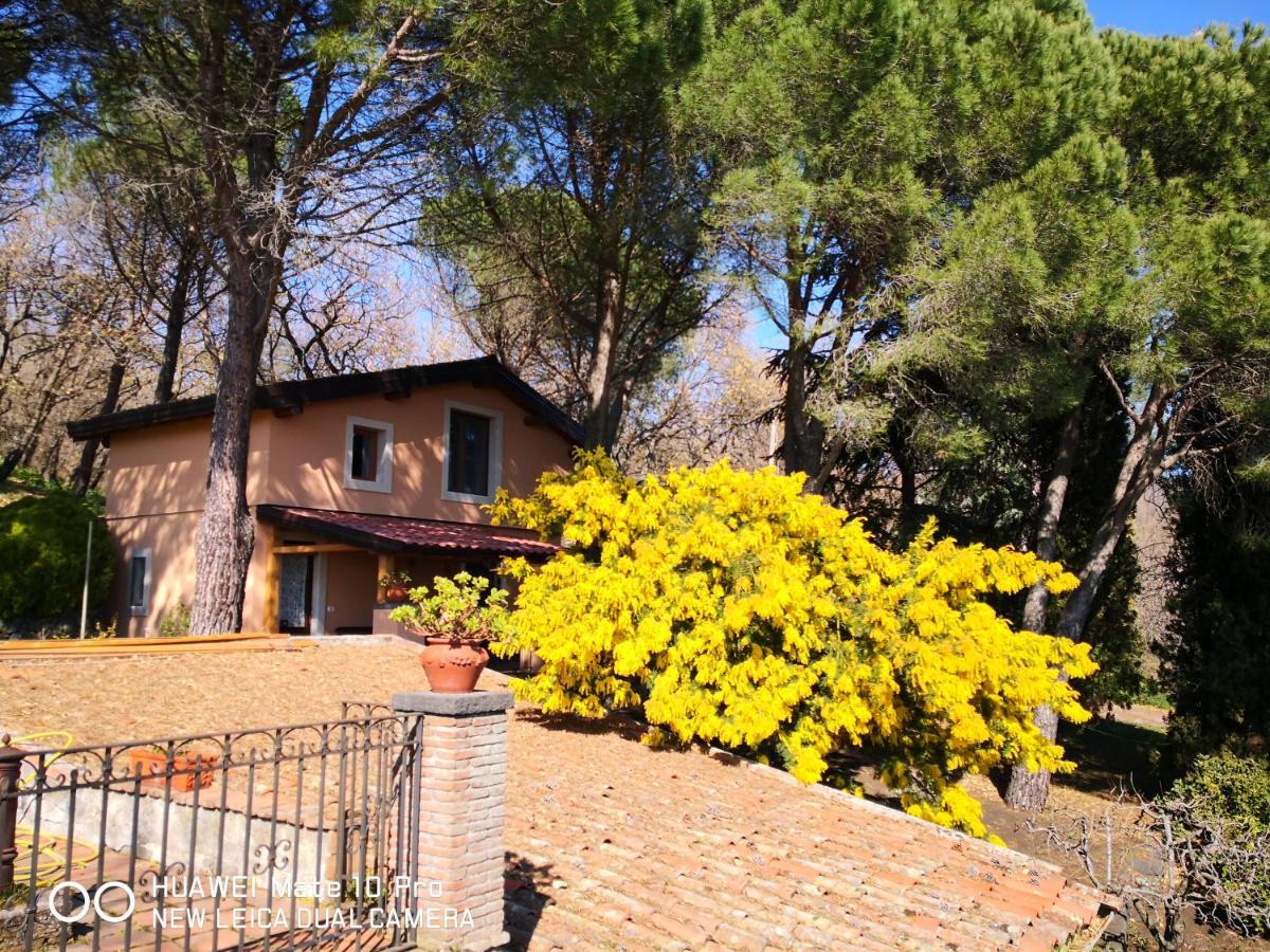 Feudo Algerazzi Villa Zafferana Etnea Exterior foto
